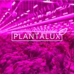 Plantalux